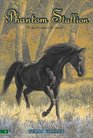 The Challenger (Phantom Stallion, Bk 6)