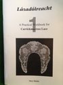 Lasadoireacht Practical Workbook for Carrickmacross Lace