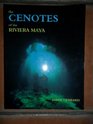 The Cenotes of the Riviera Maya