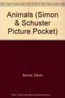 SIMON AND SCHUSTER PICTURE POCKET ANIMALS