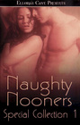 Naughty Nooners (Special Collection 1)