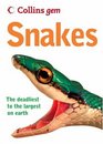 Snakes The Deadliest to the Largest on Earth