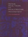 Emotion Social Theory and Social Structure  A Macrosociological Approach