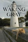 Waking Up Gray