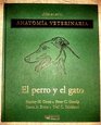 Atlas En Color Anatomia Veterinaria El Perro Y El Gato