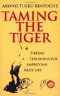 TAMING THE TIGER TIBETAN TEACHING FOR IMPROVING DAILY LIFE
