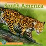 Animals of South America