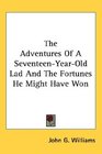 The Adventures Of A SeventeenYearOld Lad And The Fortunes He Might Have Won