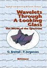 Wavelets through a Looking Glass