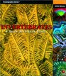 Invertebrates A Quick Reference Guide