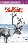 Reindeer On the Move