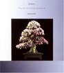 Bonsai - The Art of Living Sculpture