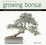 Practical Guide to Growing Bonsai A Guide to the Art of Shaping Growing and Caring for Miniature Trees and Shrubs