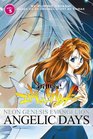 Neon Genesis Evangelion Angelic Days Volume 3