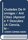 Ciudades De Hormigas / Ant Cities