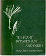 Plant Between Sun and Earth and the Science Physical and Ethereal Spaces
