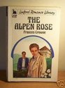 Alpen Rose