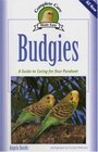 Budgies A Guide To Caring for Your Parakeet