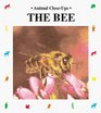 The Bee: Friend of the Flowers (Animal Close-Ups)