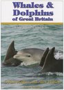 Whales and Dolphins of Great Britain Where to Go and What to See