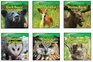 Animals That Live in the Forest/ Animales Del Bosque Complete Series