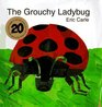 The Grouchy Ladybug