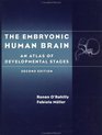 The Embryonic Human Brain An Atlas of Developmental Stages