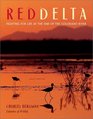 Red Delta Fighting for Life at the End of the Colorado River