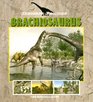 Dinosaur Profiles Brachiosaurus