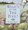 What's in the Tide Pool