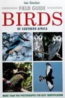 Ian Sinclair's Field Guide to the Birds of Southern Africa