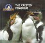 The Crested Penguins