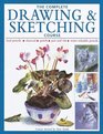 The Complete Drawing and Sketching Course