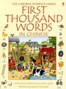 First Thousand Words in Chinese Internet Linked