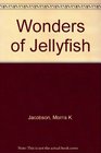 Wonders of Jellyfish