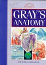 Gray's Anatomy The Anatomical Basis of Medicine  Surgery
