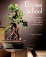 Bonsai School The Complete Course in Care Training  Maintenance