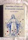 Apparitions of Mary and the Immaculate Conception