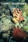 Living Seashells