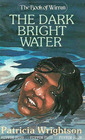 The Dark Bright Water