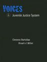Voices in the Juvenile Justice System for Juvenile Justice in America