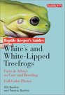 White's and WhiteLipped Treefrogs Facts  Advice on Care and Breeding