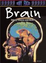 Brain Injury Illness and Health