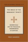 The Image Of The Immanent Trinity Rahner's Rule And The Theological Interpretation Of Scripture