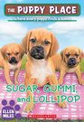 Sugar Gummi and Lollipop