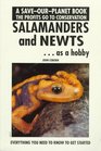 Salamanders & Newts As a Hobby (Save Our Planet)