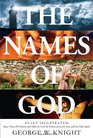 Names of God Fully IllustratedMore Than 250 Names and Titles of God the Father Jesus the Son and the Holy Spirit