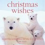 Christmas Wishes  Inspiring Sentiments for the Festive Season