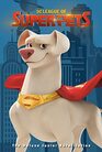DC League of SuperPets The Deluxe Junior Novelization  Includes 8page fullcolor insert and poster