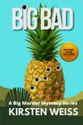 Big Bad A Small Town Cozy Mystery